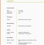 Bemerkenswert Muster Lebenslauf Word Muster Lebenslauf Nebenjob