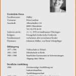 Bemerkenswert Neueste Lebenslauf Einfach Kostenlos Betriebsanleitung
