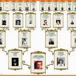 Bemerkenswert Stammbaum 5 0 Amazon software