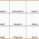 Bestbewertet 11 Leporello Vorlage