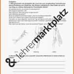 Bestbewertet 13 Beispiel Einer Referenzseite Für Einen Lebenslauf