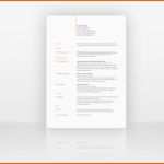 Bestbewertet Anschreiben Bewerbung Englisch Coverletter Example Cv Muster