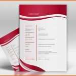 Bestbewertet Bewerbung Deckblatt Vorlage Pdf Elegant Bewerbung