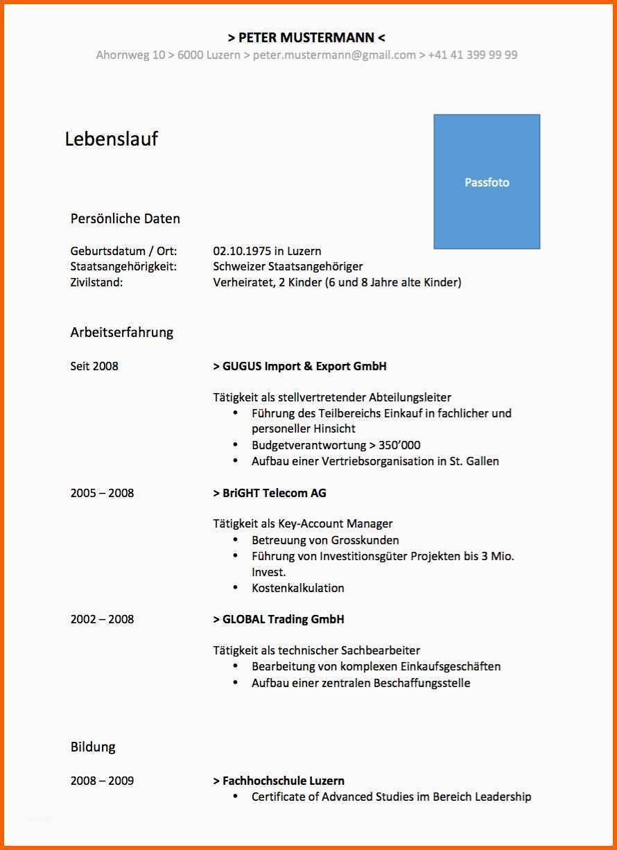 Bestbewertet Curriculum Vitae Cv Lebenslauf Vorlage