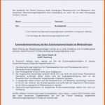 Bestbewertet Einverständniserklärung Der Eltern Muster