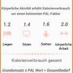 Bestbewertet Ernährungsplan Ganz Einfach Selber Erstellen Große Step