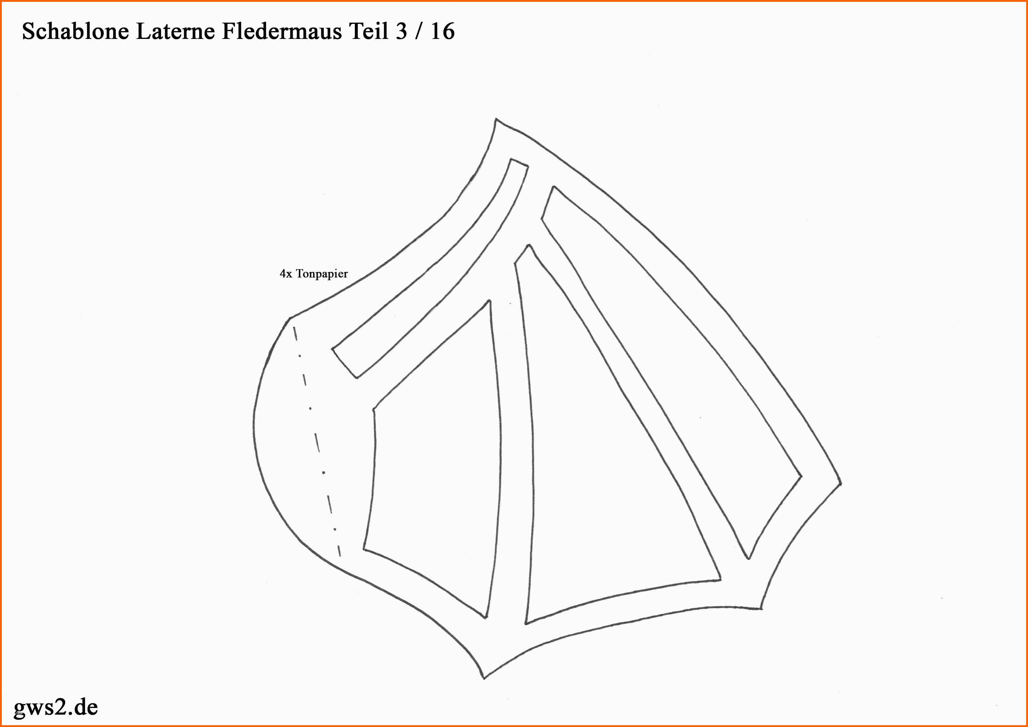 Bestbewertet Fanoos Laterne Grafik Design Vektor Grafik Design Vorlage