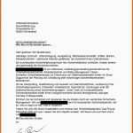 Bestbewertet Firmenvorstellung Email Vorlage Wunderbare Zufriedene