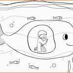 Bestbewertet Jona Im Wal Ausmalbilder Jonah In the Whale Coloring Pages