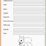 Bestbewertet Steckbrief Tiere