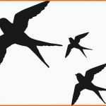 Bestbewertet Vogel Silhouette Am Fenster Macht Glasscheiben Vogelsicher
