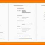 Beste 19 Lebenslauf Vorlage Openoffice