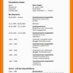 Beste 19 Lebenslauf Vorlage Openoffice