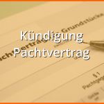 Beste Kündigung Pachtvertrag Muster Musterix