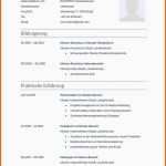Beste Lebenslauf Vorlage Kostenlos Pdf Neu 11 Sponsoren