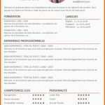 Beste Model Cv Open Fice Mise En Page Cv Open Fice Up83