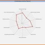 Beste Stakeholderanalyse Excel Vorlage Gut Swot Analyse Beispiel