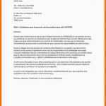 Einzahl 14 Praktikum Anschreiben Vorlage