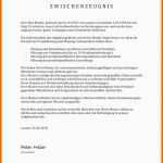 Einzahl 17 Arbeitszeugnis Projektleiter