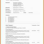 Einzahl 18 Besprechungsprotokoll Vorlage Excel Kostenlos