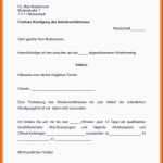 Einzahl 20 Kündigung Nebenjob Vorlage