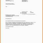 Einzahl 40 Oberteil Anschreiben Firmenvorstellung Muster