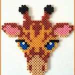 Einzahl 51 Luxus Bügelperlen Einhorn Vorlage Vorräte