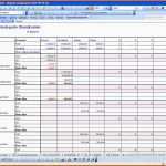 Einzahl Bud Planung Excel Vorlage Zum Download