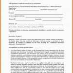 Einzahl Confidentiality Agreement form Pdf Awesome Non Disclosure