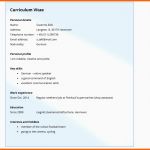 Einzahl Curriculum Vitae Englisch Klasse 9 Modelo De Curriculum