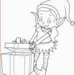 Einzahl Eichhörnchen Clipart Kostenlos