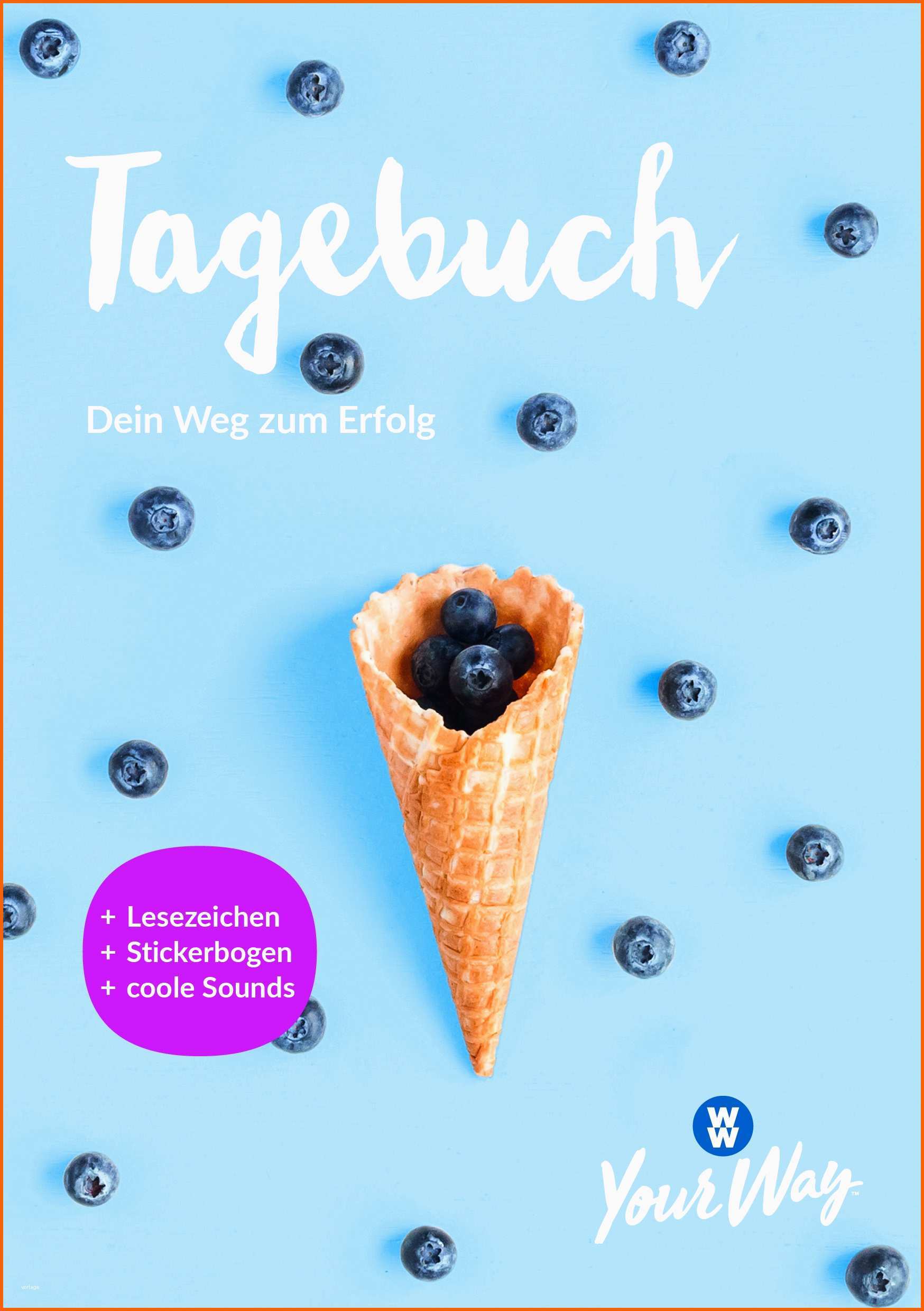 Einzahl Einzelcoaching Individuell Erfolgreich Abnehmen