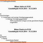 Einzahl Eroffnungsbilanz Vorlage Finanzamt Papacfo