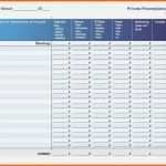 Einzahl Excel Haushaltsbuch Vorlage Angenehm Einnahmen Ausgaben