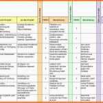 Einzahl Excel Vorlage Risikoanalyse Projektmanagement Freeware
