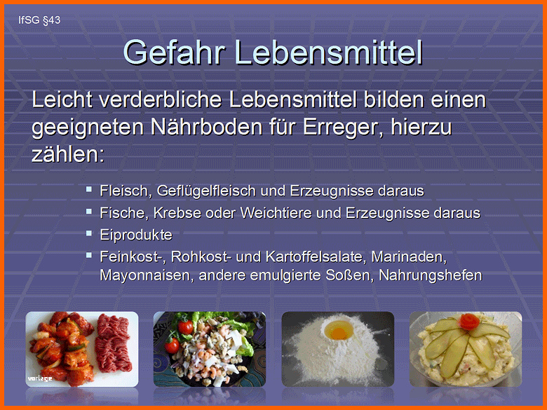 Einzahl Haccp Hygieneschulung Haccp Schulung Auf Cd Rom Vorlage