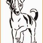 Einzahl Hund Schablone Tierheim Pinterest