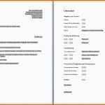 Einzahl Lebenslauf Und Anschreiben Vorlage Word In Bezug Auf