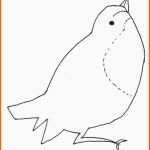 Einzahl Malvorlage Vogel Oder Spatz Zum Nachmachen