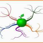 Einzahl Mindmap Vorlage Word – Various Vorlagen