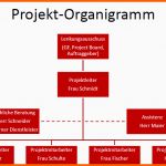 Einzahl Projektmanagement24 Blog Projekt organigramm Als