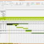 Einzahl Projektplan Excel Muster