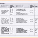 Einzahl Risikoanalyse Vorlage