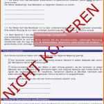 Einzahl Übergabeprotokoll Hauskauf Muster Doc
