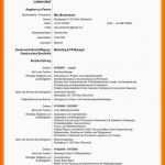 Einzigartig 15 Vorlage Cv English