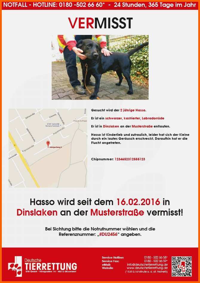 Einzigartig 62 Wunderbar Katzen Vermisstenanzeige Vorlage Galerie