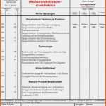 Einzigartig Anforderungsliste Vorlage Excel Luxus Mikro Puter Labor