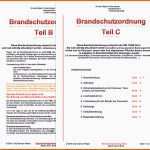Einzigartig Brandschutzordnung Nach Din