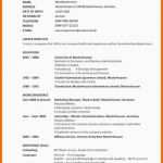 Einzigartig Cv English Vorlage Interessant 17 Cv Schreiben Muster