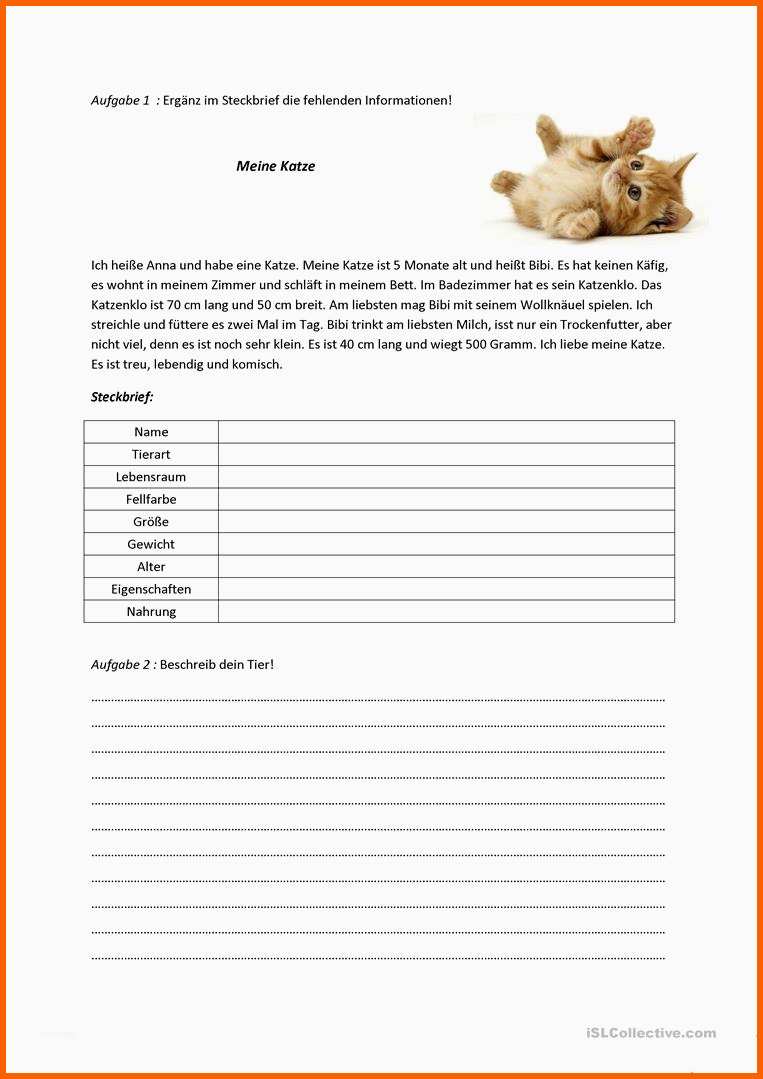 Einzigartig Die Katze Und Ein Steckbrief Arbeitsblatt Kostenlose Daf